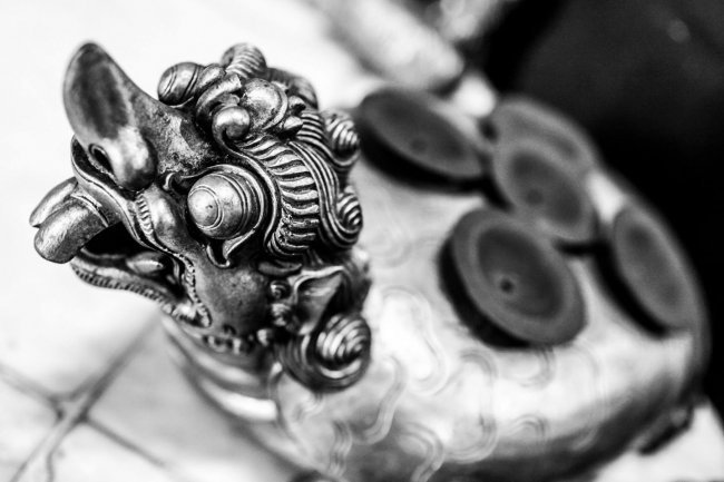 Manifestasi Canis Lupus